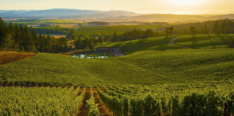 from-florence-private-wine-experience-in-chianti-classico