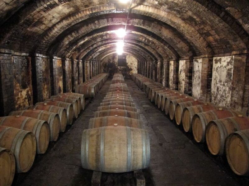 from-florence-private-wine-tasting-tour-in-chianti