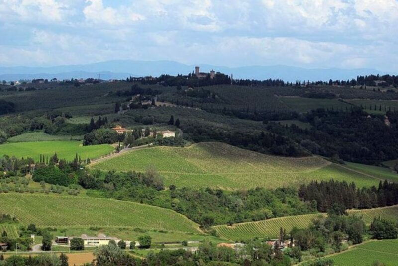 from-florence-private-wine-tasting-tour-in-chianti