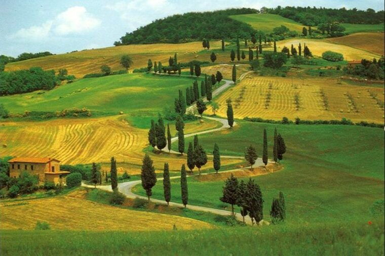 from-florence-private-wine-tasting-tour-in-chianti