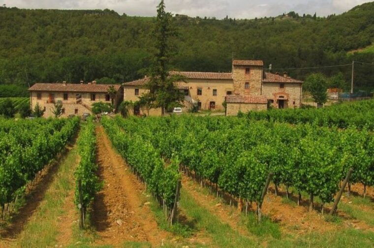 from-florence-private-wine-tasting-tour-in-chianti