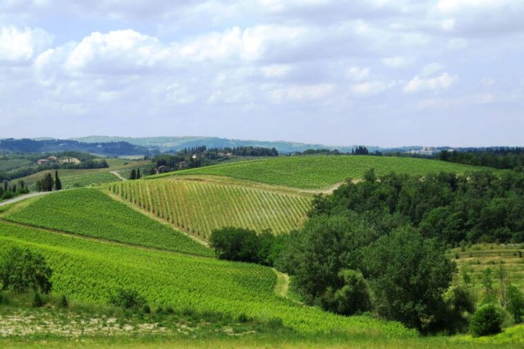 from-florence-private-wine-tour-with-dinner-on-an-estate