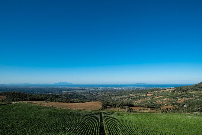 from-florence-privatebolgheri-wine-tourtasting-among-the-tuscany-coastal-hills
