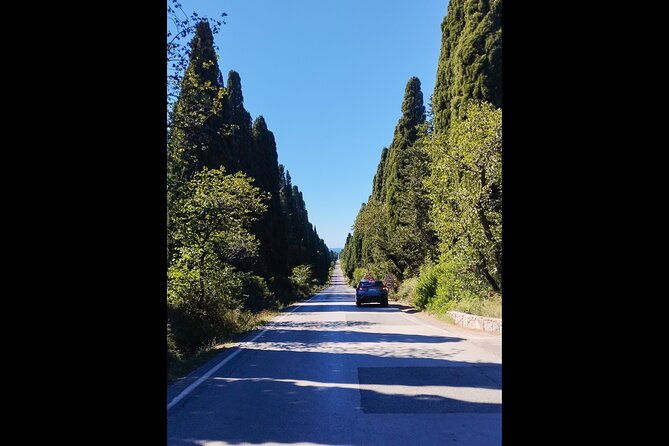 from-florence-privatebolgheri-wine-tourtasting-among-the-tuscany-coastal-hills