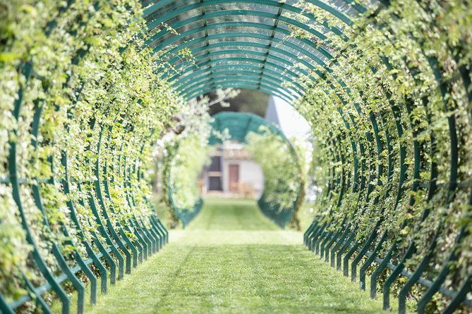 from-florence-privatebolgheri-wine-tourtasting-among-the-tuscany-coastal-hills