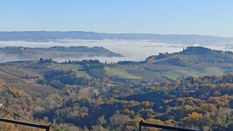 from-florence-ramble-through-the-hills-of-chanti