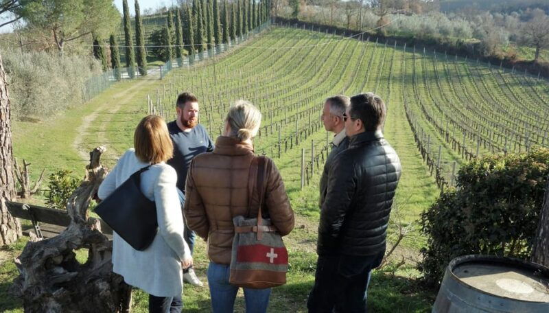 from-florence-san-gimignano-vernaccia-wine-tour