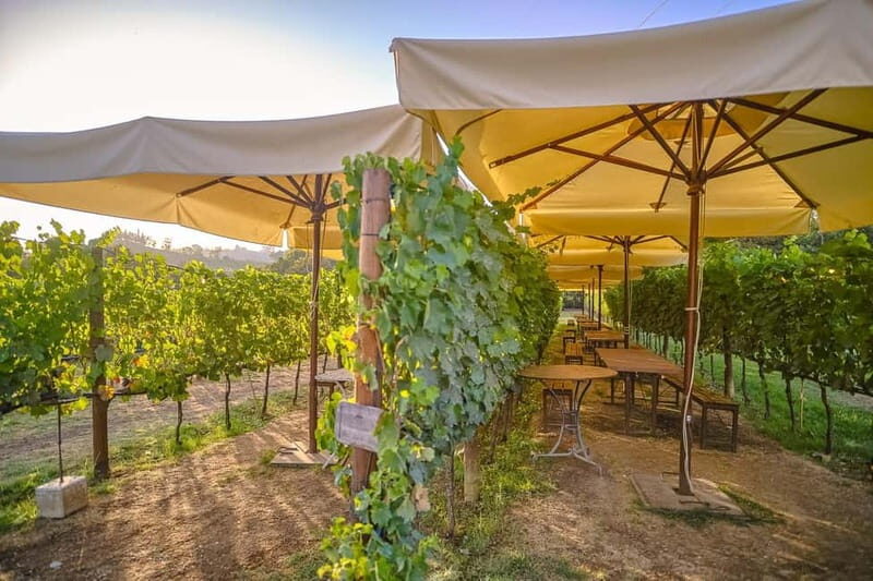 From Florence: Siena and Chianti Day Trip with Dinner - Authentic Experiences Highlighted by Reviewers
