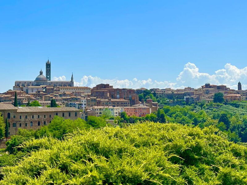 from-florence-siena-san-gimignano-and-chianti-private