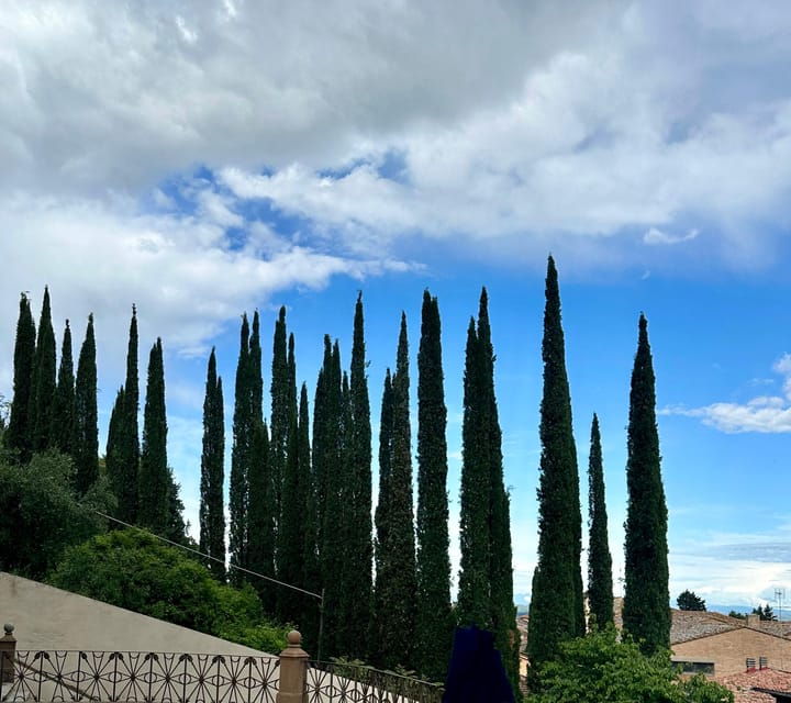 from-florence-siena-san-gimignano-and-chianti-private