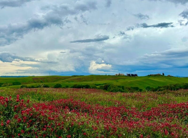 from-florence-siena-san-gimignano-and-chianti-private