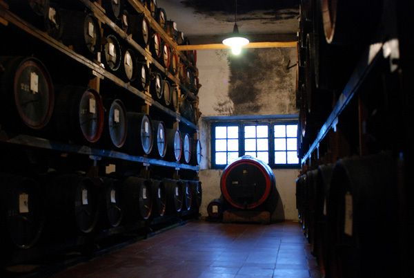 from-florence-siena-san-gimignano-chianti