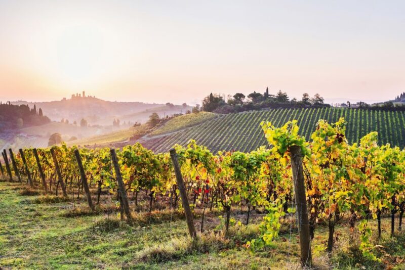 From Florence: Siena & San Gimignano Tour with Chianti Views - Who This Tour Is Best For