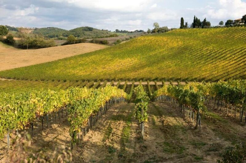 From Florence: Siena & San Gimignano Tour with Chianti Views - FAQ