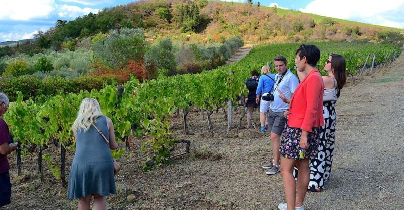 from-florence-small-group-chianti-wine-tour
