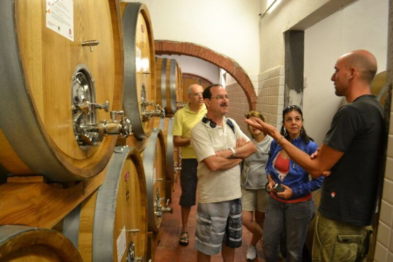 from-florence-small-group-chianti-wine-tour