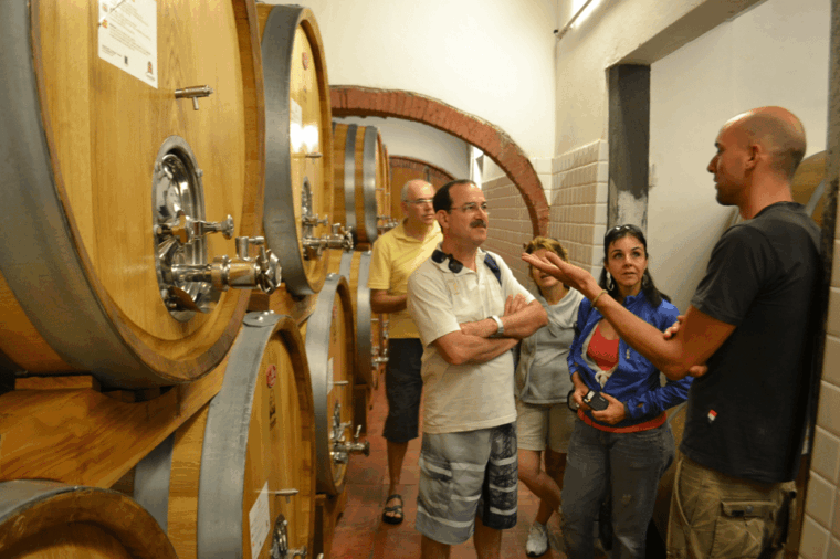 from-florence-small-group-chianti-wine-tour