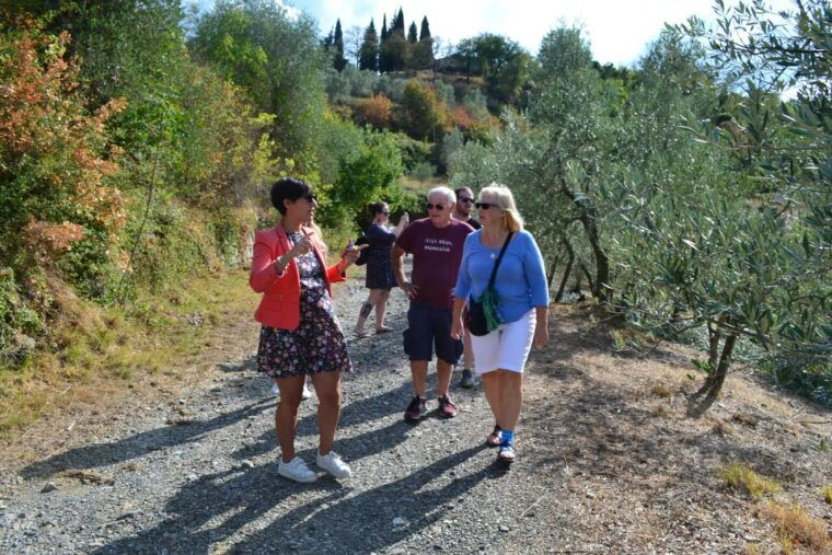 from-florence-small-group-chianti-wine-tour