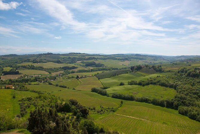 From Florence: Small-Group Tuscany Wine & Oil Tour with typical Tuscan Meal - Wrapping Up