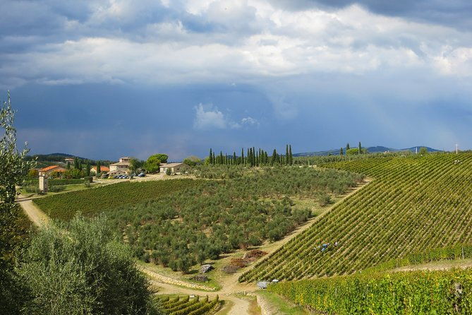 from-florence-to-siena-san-gimignano-pisa-by-private-minivan