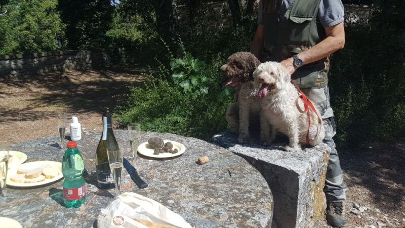 from-florence-truffle-hunt-and-lunch-in-the-countryside