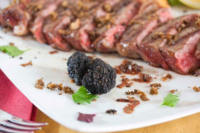 from-florence-truffle-hunting-with-lunch-transportation