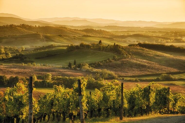 from-florence-tuscany-by-e-bike-with-lunch-and-wine-tasting
