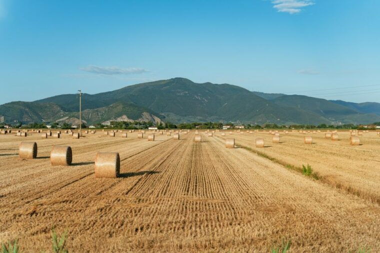 from-florence-tuscany-day-trip-with-lunch-at-chianti-winery