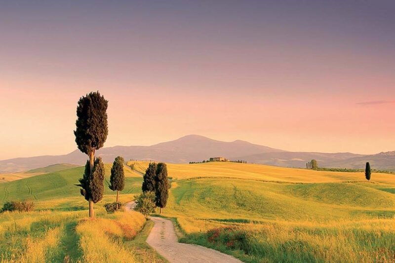from-florence-tuscany-hills-wine-tour