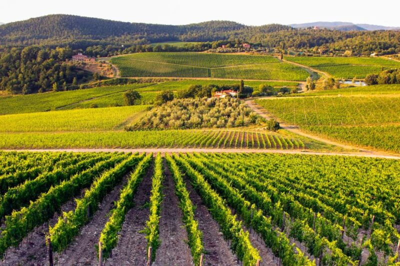 from-florence-tuscany-wine-food-tour-with-guide