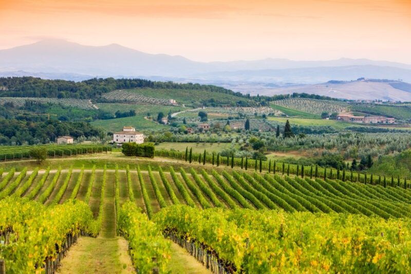 from-florence-tuscany-wine-food-tour-with-guide