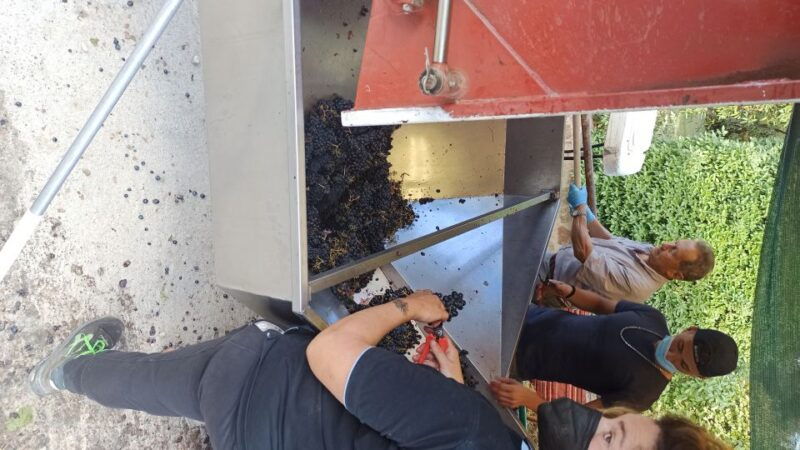 from-florence-val-dorcia-region-private-wine-tasting-tour