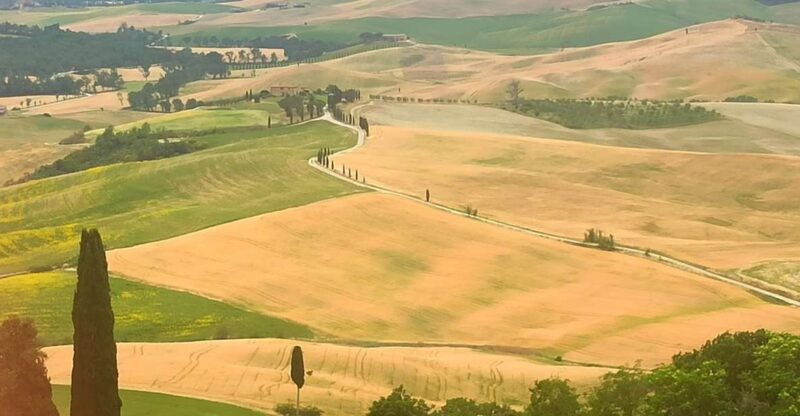 from-florence-val-dorcia-region-private-wine-tasting-tour