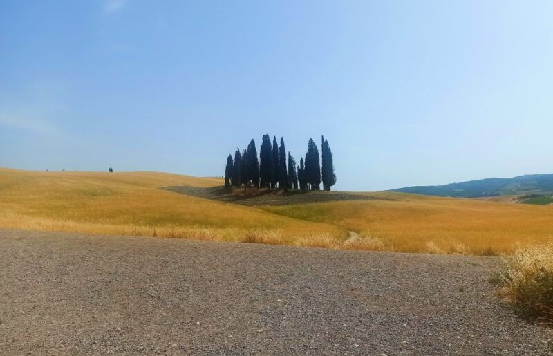 from-florence-val-dorcia-region-private-wine-tasting-tour