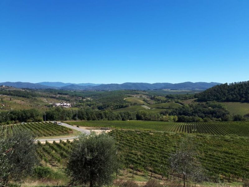 from-florence-vintage-fiat-500-chianti-tuscany-wine-tour