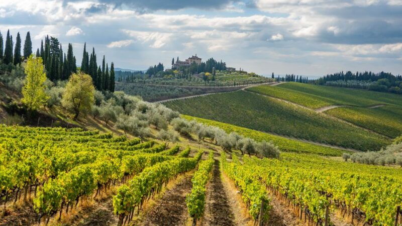 from-florence-wine-tour-in-siena-and-tuscan-countryside