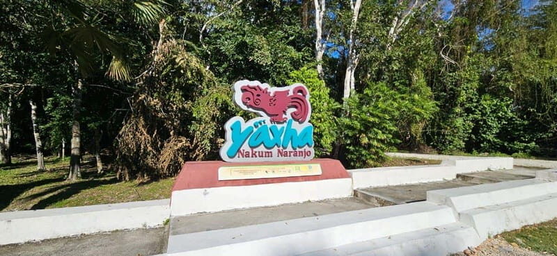 From Flores: Yaxha + Topoxte All-Inclusive Private - An In-Depth Look at the Yaxha + Topoxte Tour  
