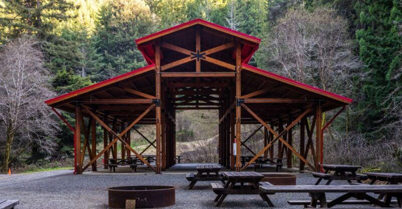 from-fort-bragg-redwoods-train-ride-and-nightclub-ticket