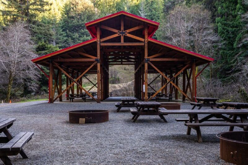 from-fort-bragg-redwoods-train-ride-and-nightclub-ticket