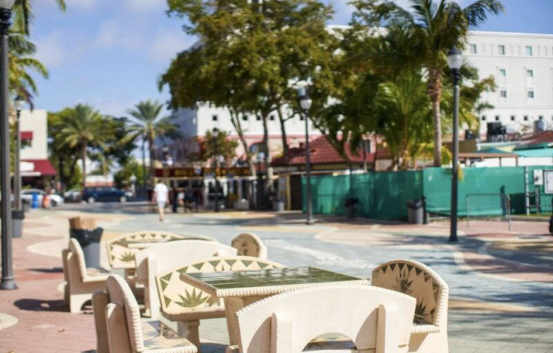 from-fort-lauderdale-best-of-miami-small-group-tour-w-boat