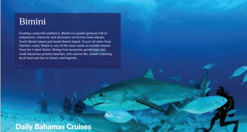 From Fort Lauderdale: Bimini Island Day Trip by Ferry - What’s Not Included