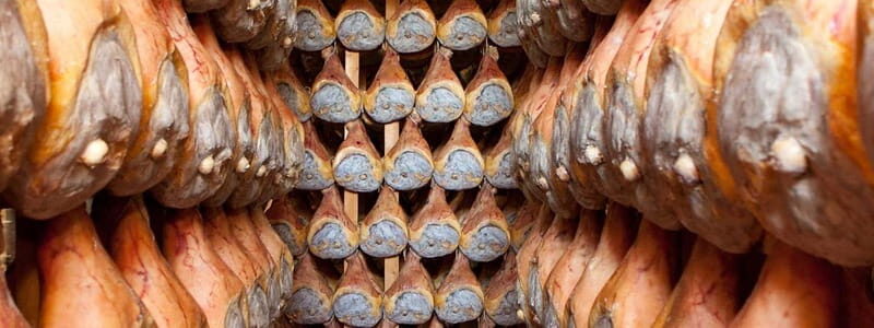 From Forte dei Marmi: Parmigiano, Prosciutto & Ferrari Tour - FAQs