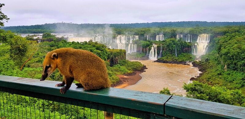 from-foz-do-iguacu-brazilian-side-of-the-falls-with-ticket