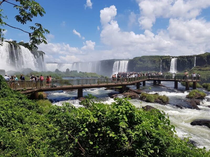 from-foz-do-iguacu-visit-to-brazilian-falls-and-bird-park