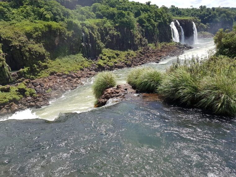 from-foz-do-iguacu-visit-to-brazilian-falls-and-bird-park