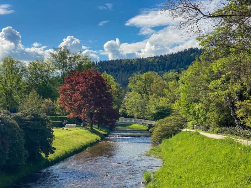 From Frankfurt: Baden-Baden Private Full-Day Trip with Guide - The Value of a Private Day Trip