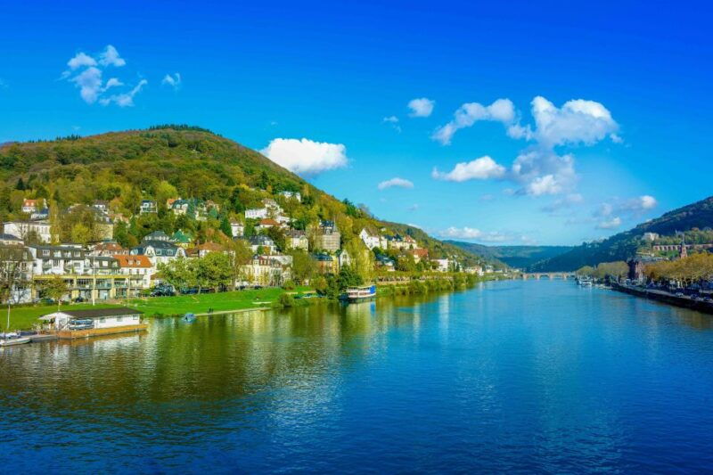 from-frankfurt-rhine-valley-day-trip