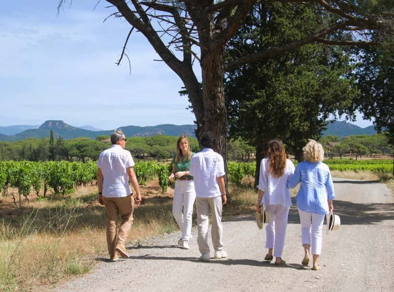 From Fréjus: Van tour to the heart of the Provençal vineyards - Discover the Heart of Provençal Vineyards: A Detailed Tour Review