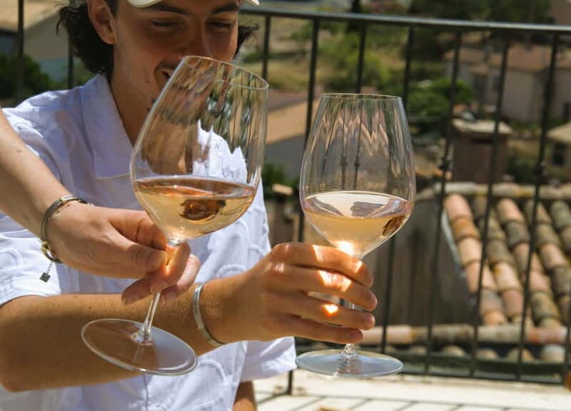 From Fréjus: Van tour to the heart of the Provençal vineyards - An In-Depth Look at the Provençal Vineyards Van Tour  