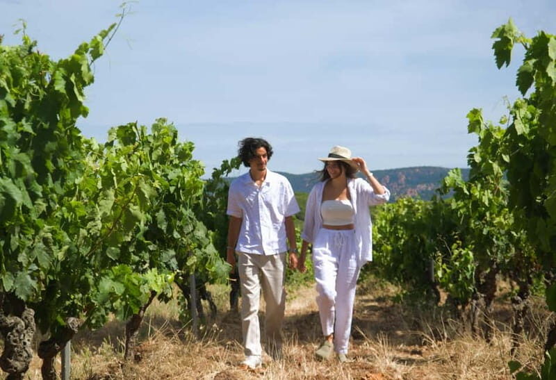 From Fréjus: Van tour to the heart of the Provençal vineyards - Final Thoughts  